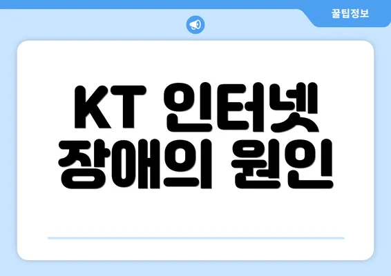 KT 인터넷 장애의 원인