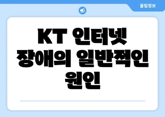 KT 인터넷 장애의 일반적인 원인