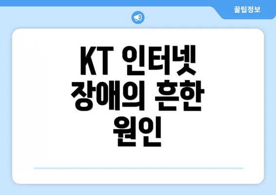 KT 인터넷 장애의 흔한 원인