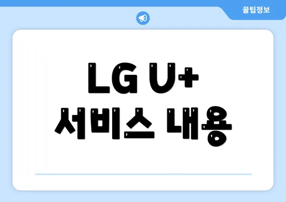 LG U+ 서비스 내용