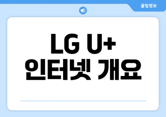 LG U+ 인터넷 개요