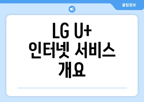 LG U+ 인터넷 서비스 개요