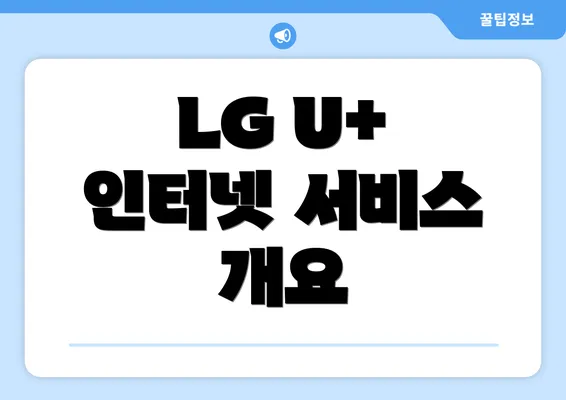 LG U+ 인터넷 서비스 개요