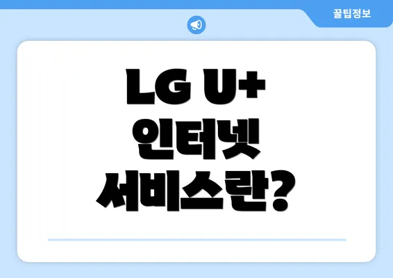 LG U+ 인터넷 서비스란?