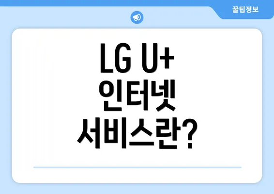 LG U+ 인터넷 서비스란?