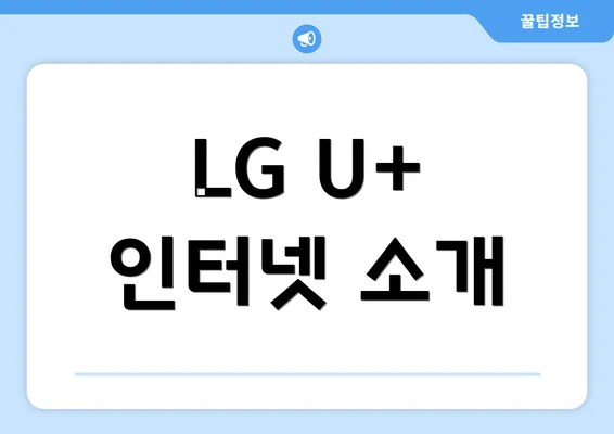 LG U+ 인터넷 소개