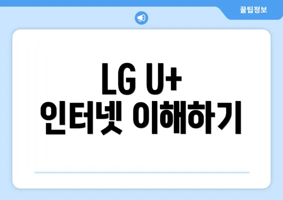 LG U+ 인터넷 이해하기