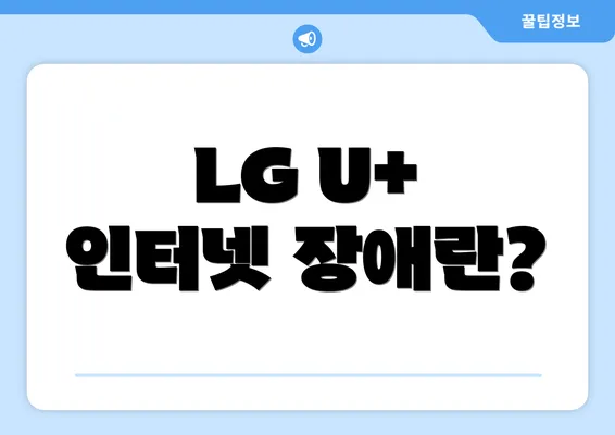 LG U+ 인터넷 장애란?