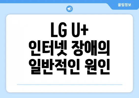 LG U+ 인터넷 장애의 일반적인 원인