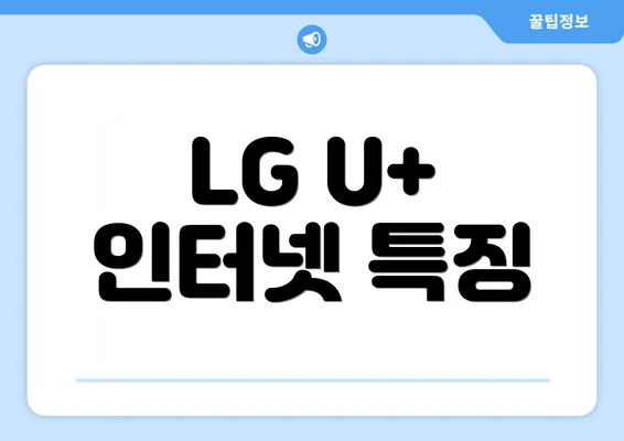 LG U+ 인터넷 특징