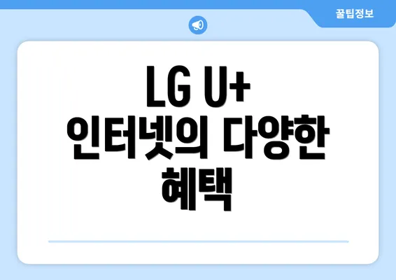 LG U+ 인터넷의 다양한 혜택