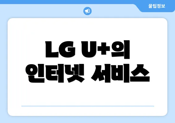 LG U+의 인터넷 서비스