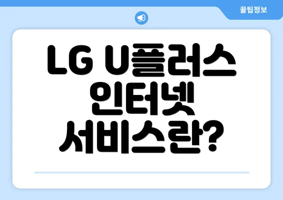 LG U플러스 인터넷 서비스란?