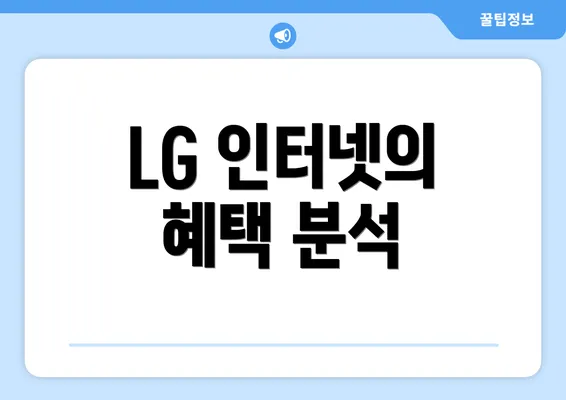 LG 인터넷의 혜택 분석