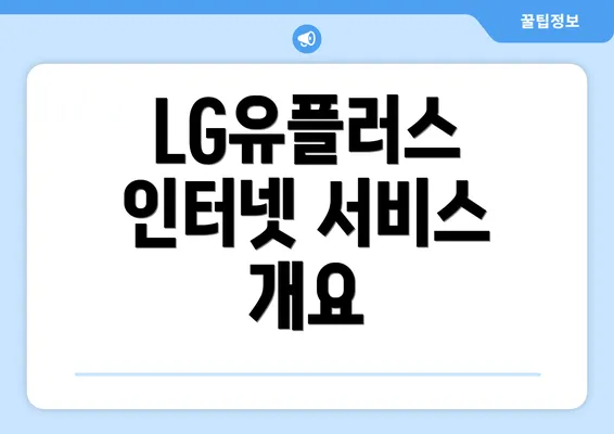 LG유플러스 인터넷 서비스 개요