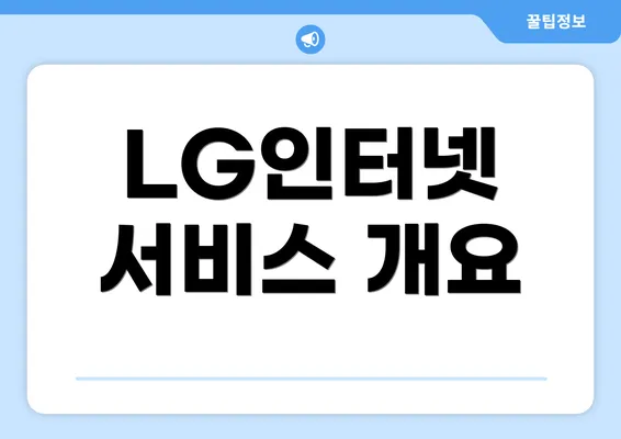 LG인터넷 서비스 개요