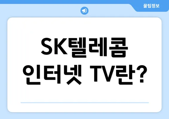 SK텔레콤 인터넷 TV란?