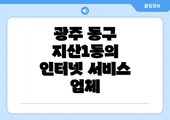 광주 동구 지산1동의 인터넷 서비스 업체