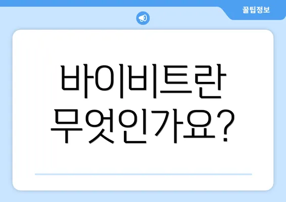 바이비트란 무엇인가요?