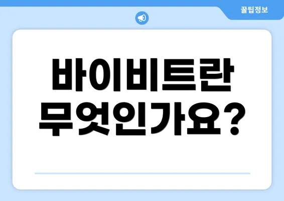 바이비트란 무엇인가요?