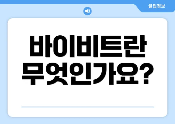 바이비트란 무엇인가요?