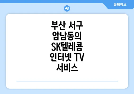 부산 서구 암남동의 SK텔레콤 인터넷 TV 서비스