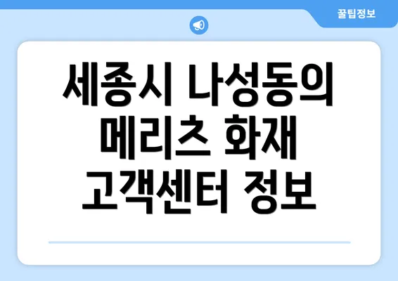 세종시 나성동의 메리츠 화재 고객센터 정보