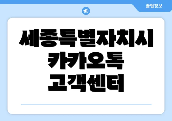 세종특별자치시 카카오톡 고객센터