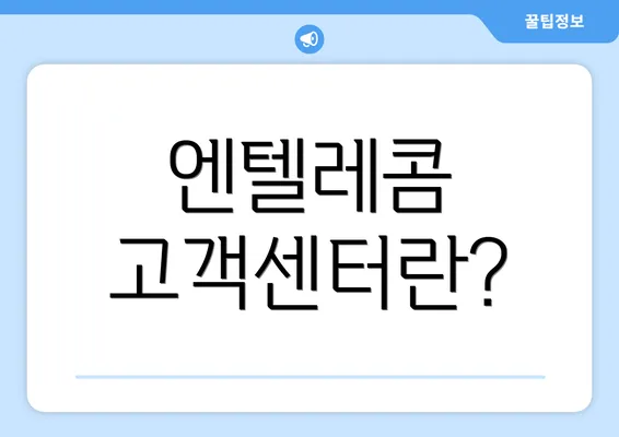 엔텔레콤 고객센터란?