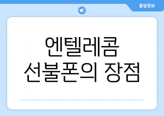 엔텔레콤 선불폰의 장점