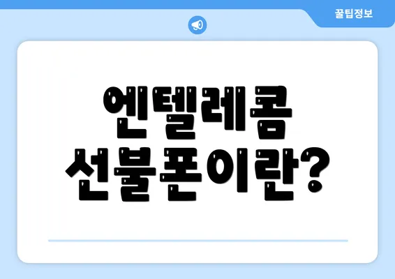 엔텔레콤 선불폰이란?