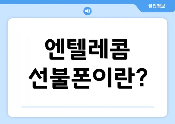 엔텔레콤 선불폰이란?