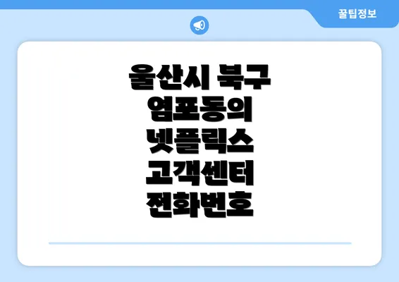 울산시 북구 염포동의 넷플릭스 고객센터 전화번호