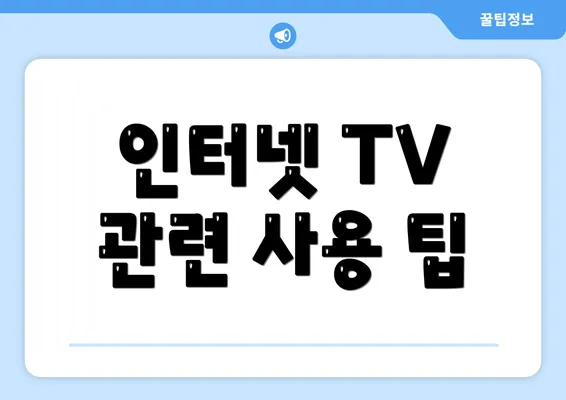 인터넷 TV 관련 사용 팁