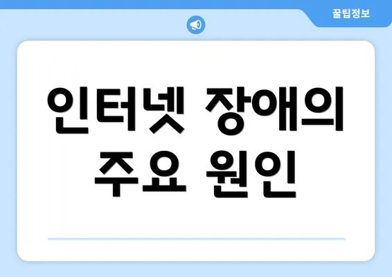 인터넷 장애의 주요 원인