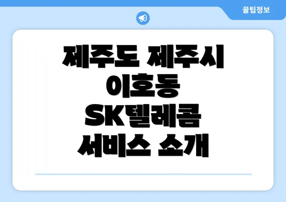 제주도 제주시 이호동 SK텔레콤 서비스 소개