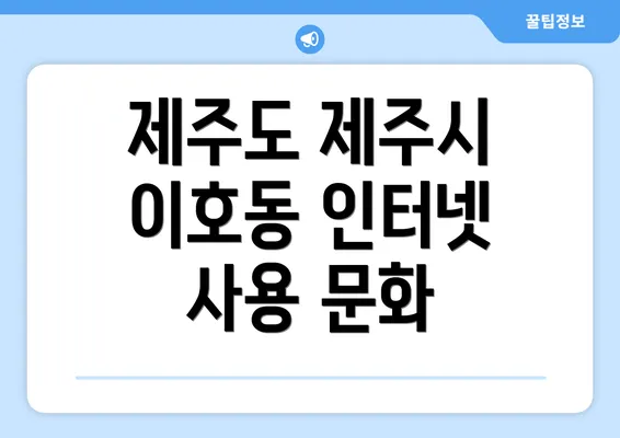 제주도 제주시 이호동 인터넷 사용 문화