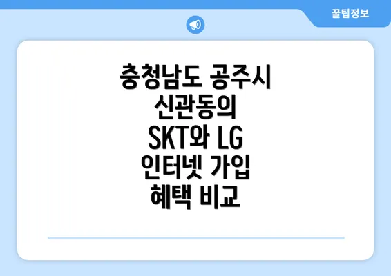 충청남도 공주시 신관동의 SKT와 LG 인터넷 가입 혜택 비교