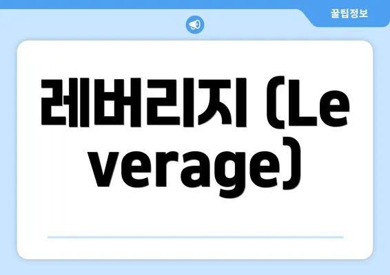 레버리지 (Leverage)