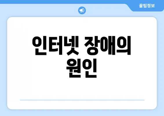 인터넷 장애의 원인