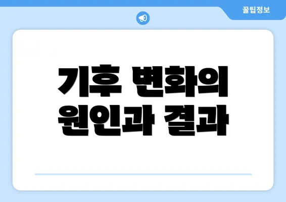 기후 변화의 원인과 결과