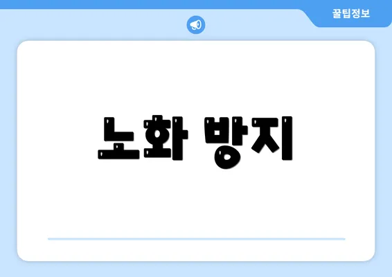 노화 방지