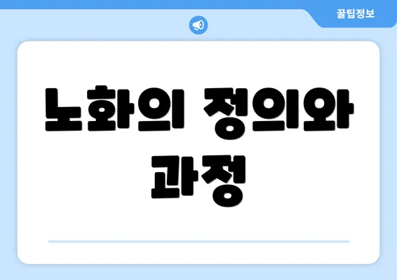 노화의 정의와 과정