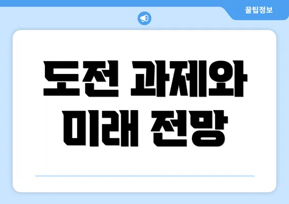 도전 과제와 미래 전망