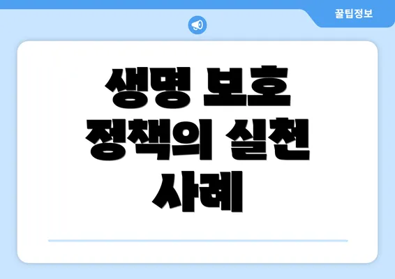 생명 보호 정책의 실천 사례