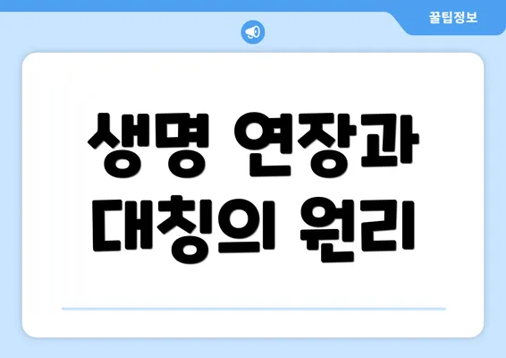 생명 연장과 대칭의 원리