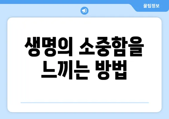 생명의 소중함을 느끼는 방법