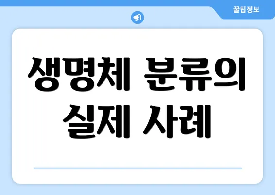 생명체 분류의 실제 사례