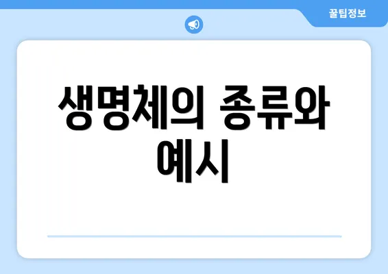 생명체의 종류와 예시