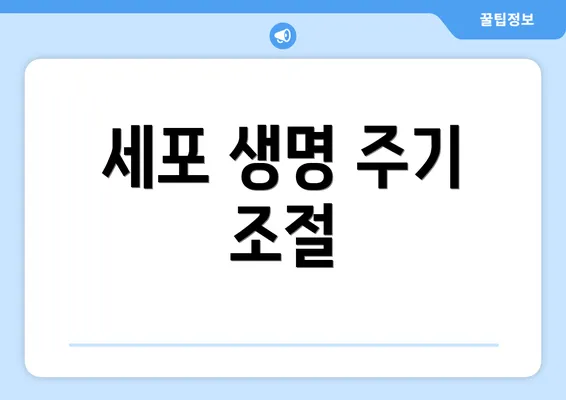세포 생명 주기 조절